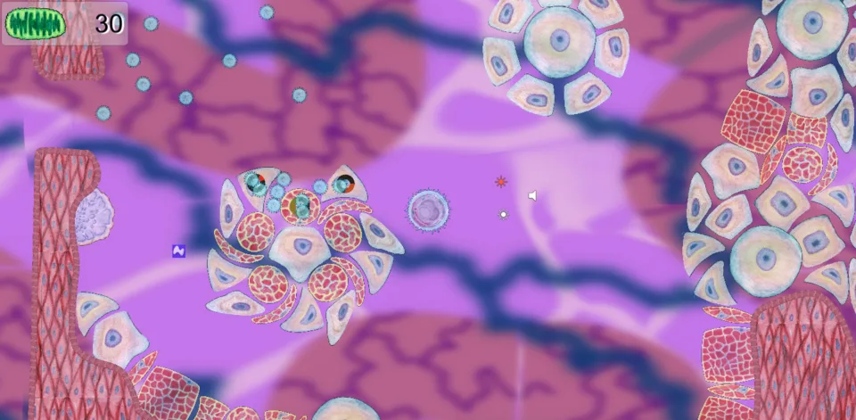 A white blood cell surrounded by colourful tissue and cells